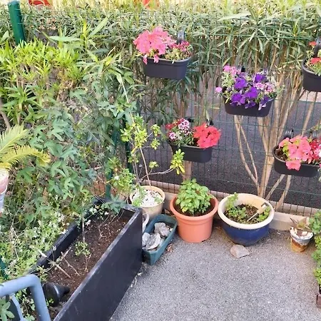 Beau Duplex A Port Daire *